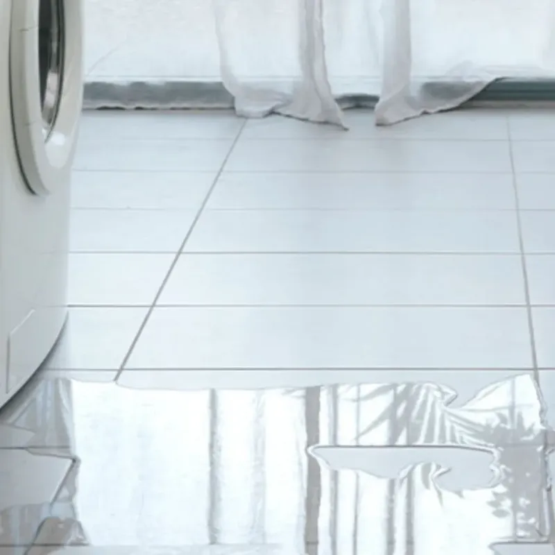 Appliance Leak Cleanup in Swartz Creek, MI