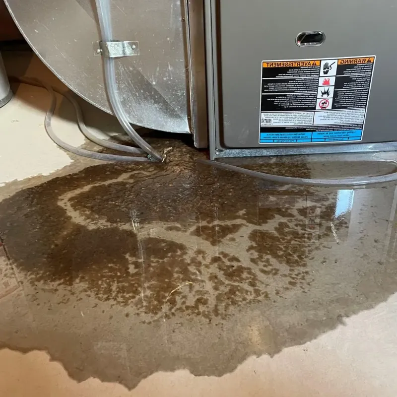 Pipe Burst and Leak Restoration in Swartz Creek, MI