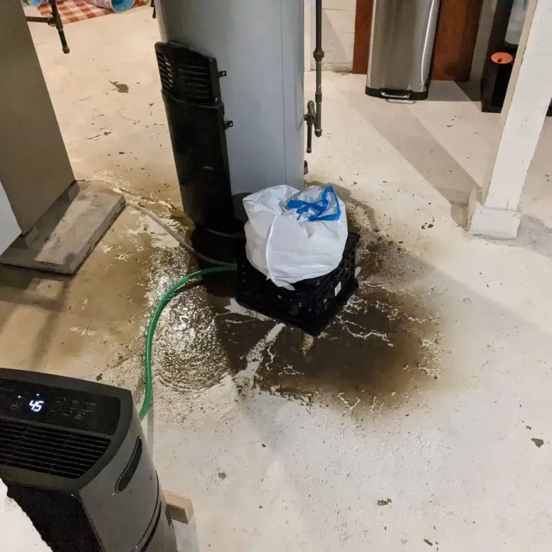 Sewage Backup Cleanup Service in Swartz Creek, MI